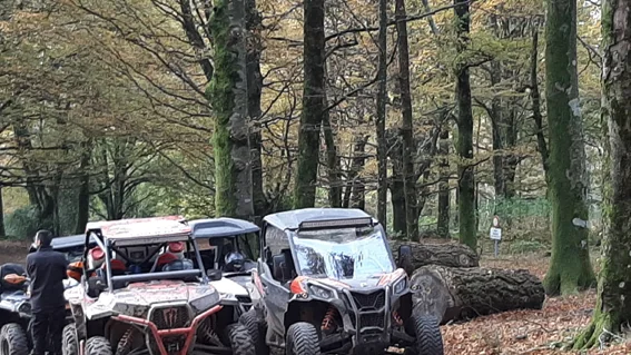 Randonnée Buggy Quad