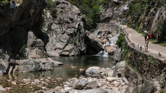 Que faire autour de Castres — gorges, lacs, culture