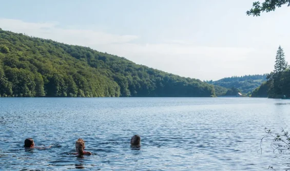 Lacs du Tarn — lac des Saints-Peyres