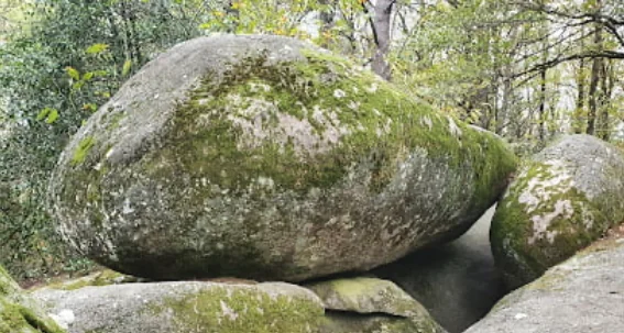 Randonnée au Sidobre — forêt et rochers granitiques